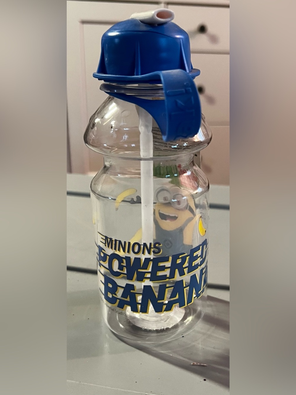 zak! Tritan Minions Water Bottle with Flip-up Spout (14 oz) - NWOT